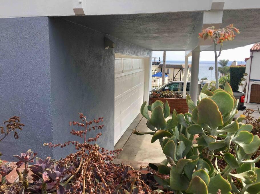 Blue Whale Inn San Clemente Jewel Unit D 외부 사진